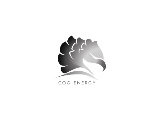 COG Energy logo img