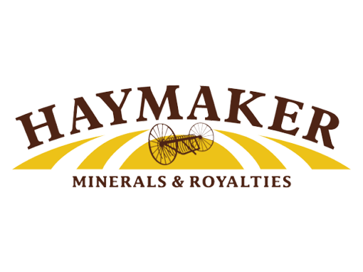 HAYMAKER MINERALS logo img