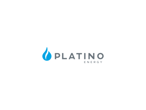 Platino energy logo img
