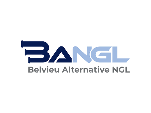 bangl logo img